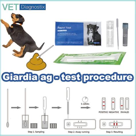 elisa test giardia dogs|giardia antigen positive dog treatment.